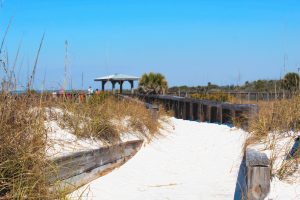 Shell Island Summer