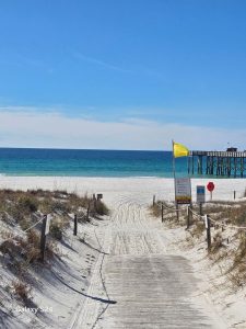 Summer at Shell Island