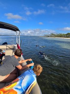 Boat Tours and Rentals to Shell Island