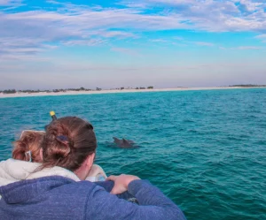 Dolphin tours Panama City Beach